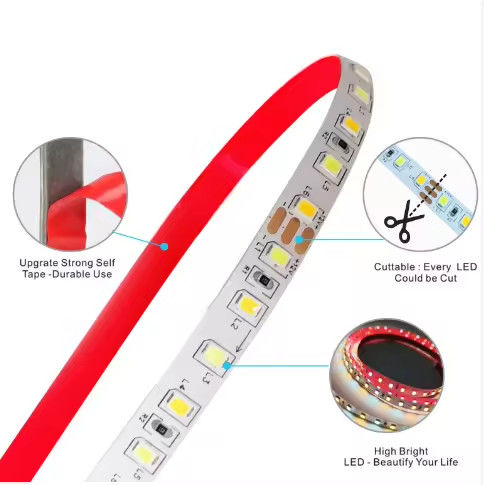 Fabrika satışı İki renkli CCT LED şerit ışığı 24v Renk sıcaklığı Ayarlanabilir 120led 12v ışık 2835 led şerit dekorasyon
