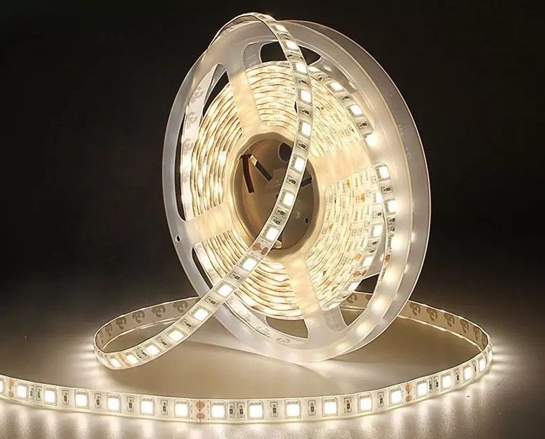 12w 12v 24v 10mm 60 LED Rgb 5050 Smd Esnek LED Şerit Işık ve Çok Renkli