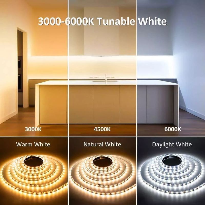 IP20 Rating Manzara Dekorasyonu Aydınlatma 5m 10m 12v 24v 220v Rgbw Cob Light Strip